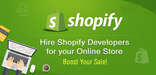 Shopify Store Development Guide